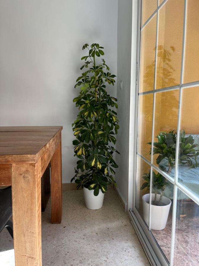 Apartamento La Biznaga Málaga Extérieur photo